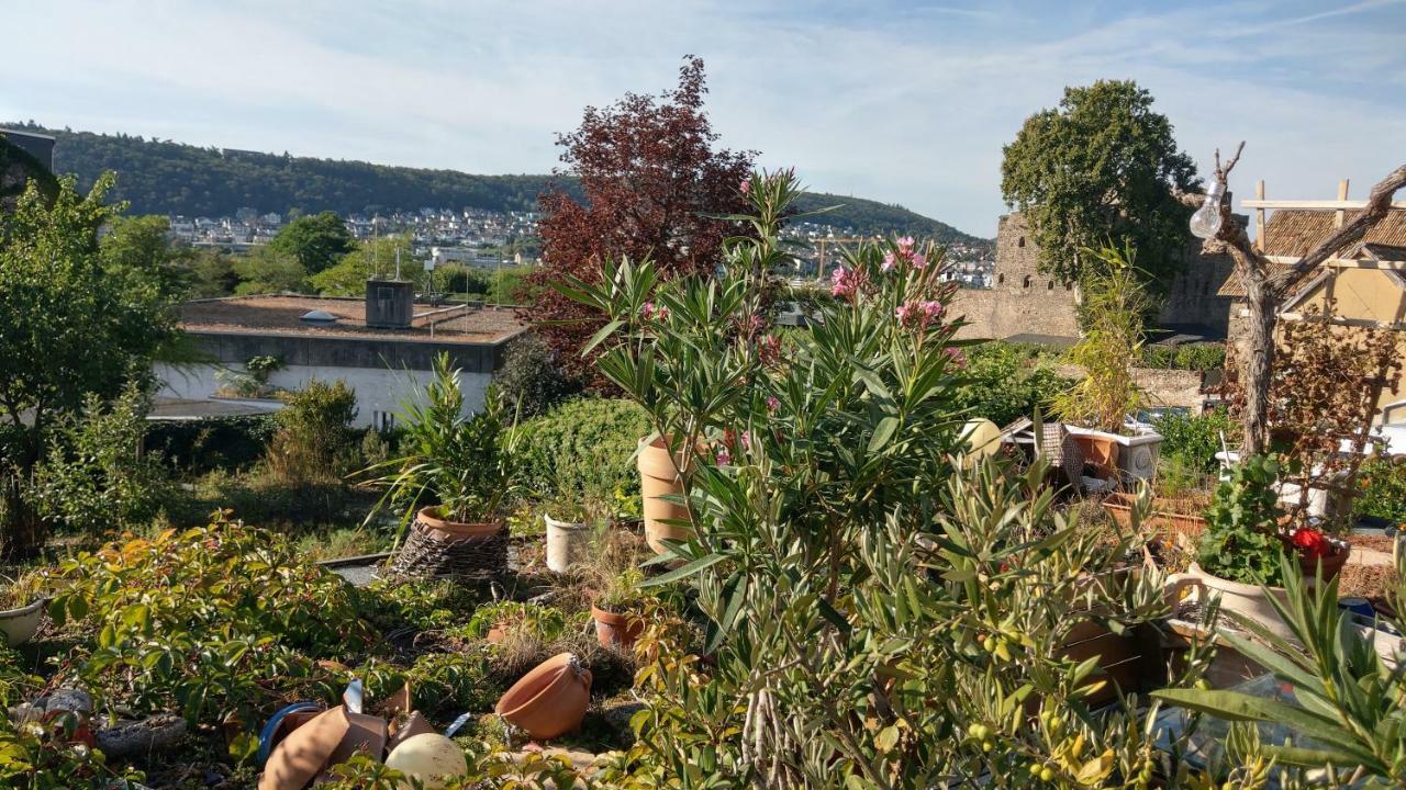Artstudio Rudesheim Apartament Rüdesheim am Rhein Zewnętrze zdjęcie