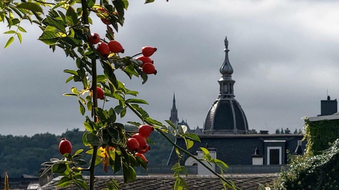 Artstudio Rudesheim Apartament Rüdesheim am Rhein Zewnętrze zdjęcie